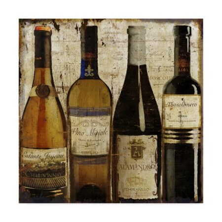 Trademark Fine Art Art Licensing Studio 'Dark Wine Samples Of Europe' Canvas Art, 24x24 ALI38310-C2424GG